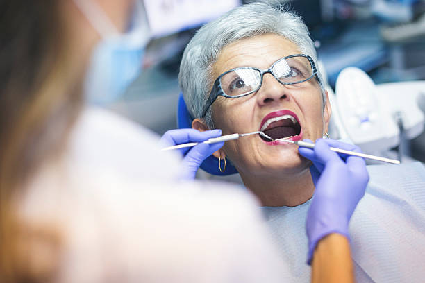 Trusted Mount Morris, IL Holistic Dental Care Services Experts